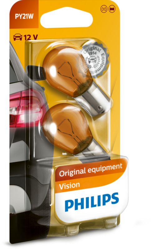 PY21W Vision