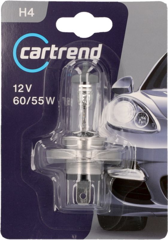 H4 Halogen
