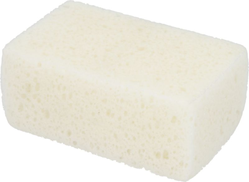 Shampooschwamm