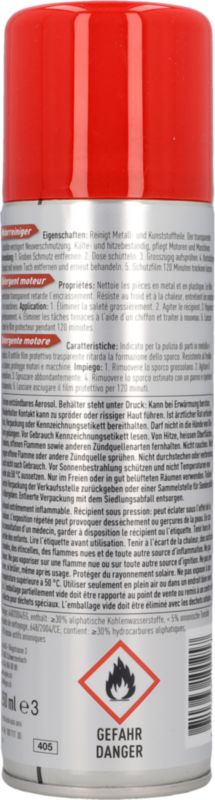 Motorreiniger