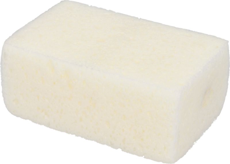 Shampooschwamm