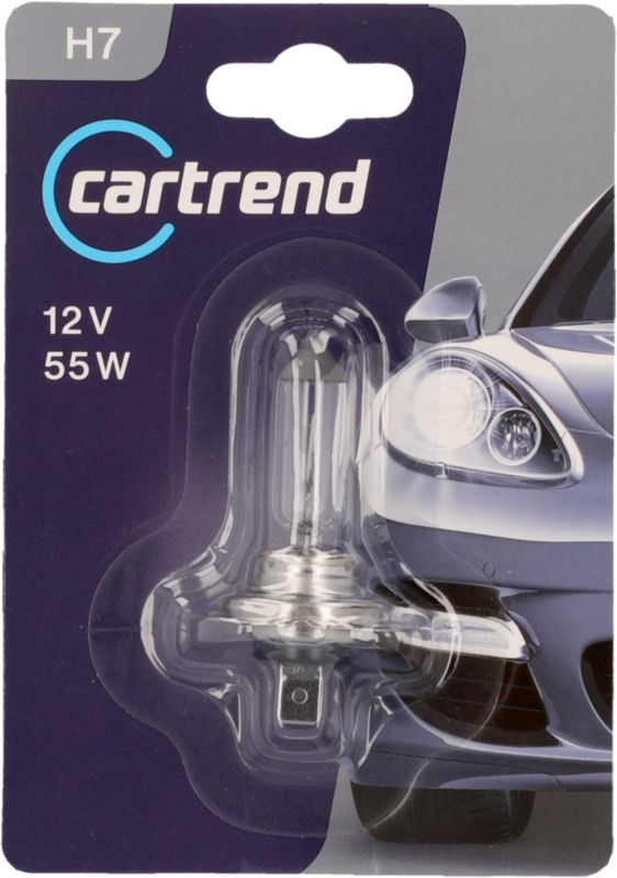 H7 Halogen