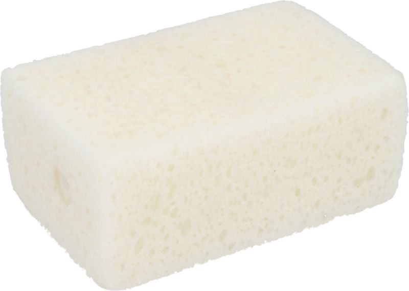 Shampooschwamm